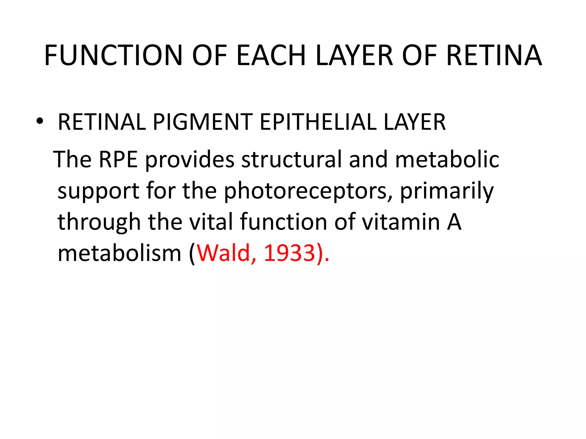 FUNCTION OF EACH LAYER OF RETINA
• RETINAL PIGMENT EPITHELIAL LAYER
The RPE provides structural and metabolic
support for the photoreceptors, primarily
through the vital function of vitamin A
metabolism (Wald, 1933).
 