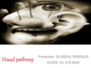 Visual pathway Presenter: Dr.NIKHIL PANPALIA
GUIDE: Dr. K.R.NAIK
 