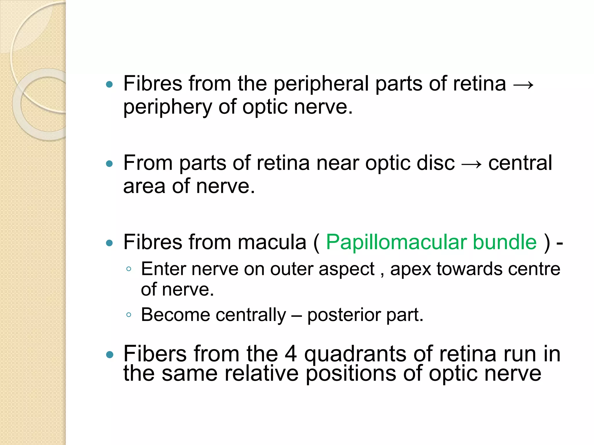  Fibres from the peripheral parts of retina →
periphery of optic nerve.
 From parts of retina near optic disc → central
area of nerve.
 Fibres from macula ( Papillomacular bundle ) -
◦ Enter nerve on outer aspect , apex towards centre
of nerve.
◦ Become centrally – posterior part.
 Fibers from the 4 quadrants of retina run in
the same relative positions of optic nerve
 