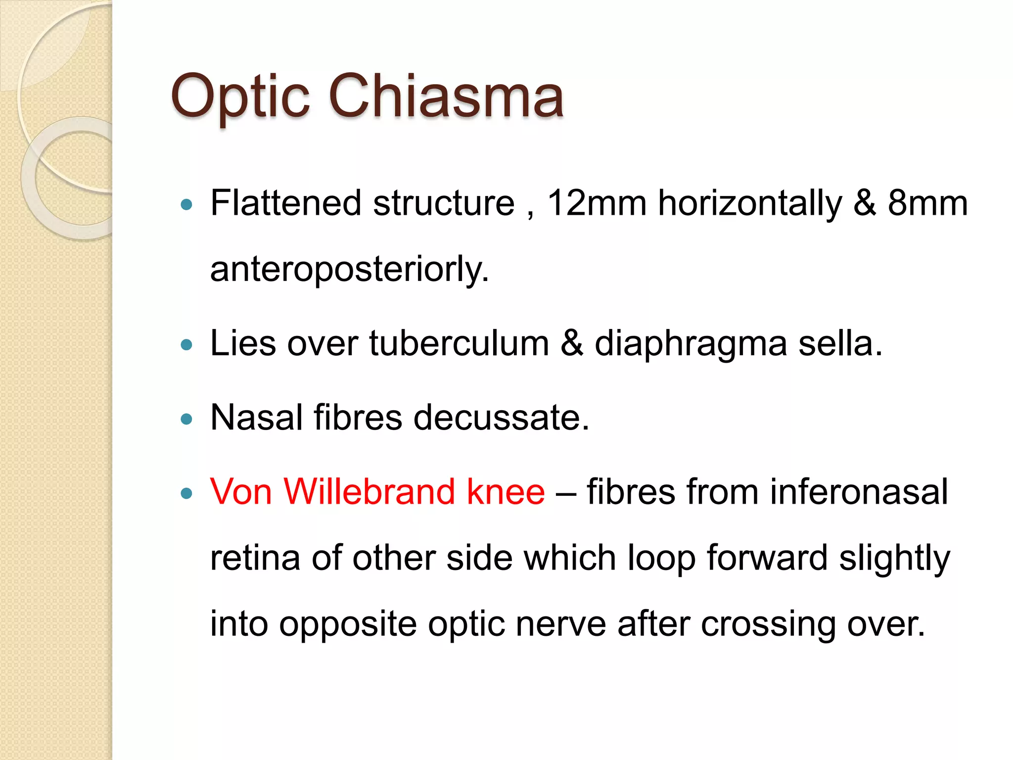 Optic Chiasma
 Flattened structure , 12mm horizontally & 8mm
anteroposteriorly.
 Lies over tuberculum & diaphragma sella.
 Nasal fibres decussate.
 Von Willebrand knee – fibres from inferonasal
retina of other side which loop forward slightly
into opposite optic nerve after crossing over.
 