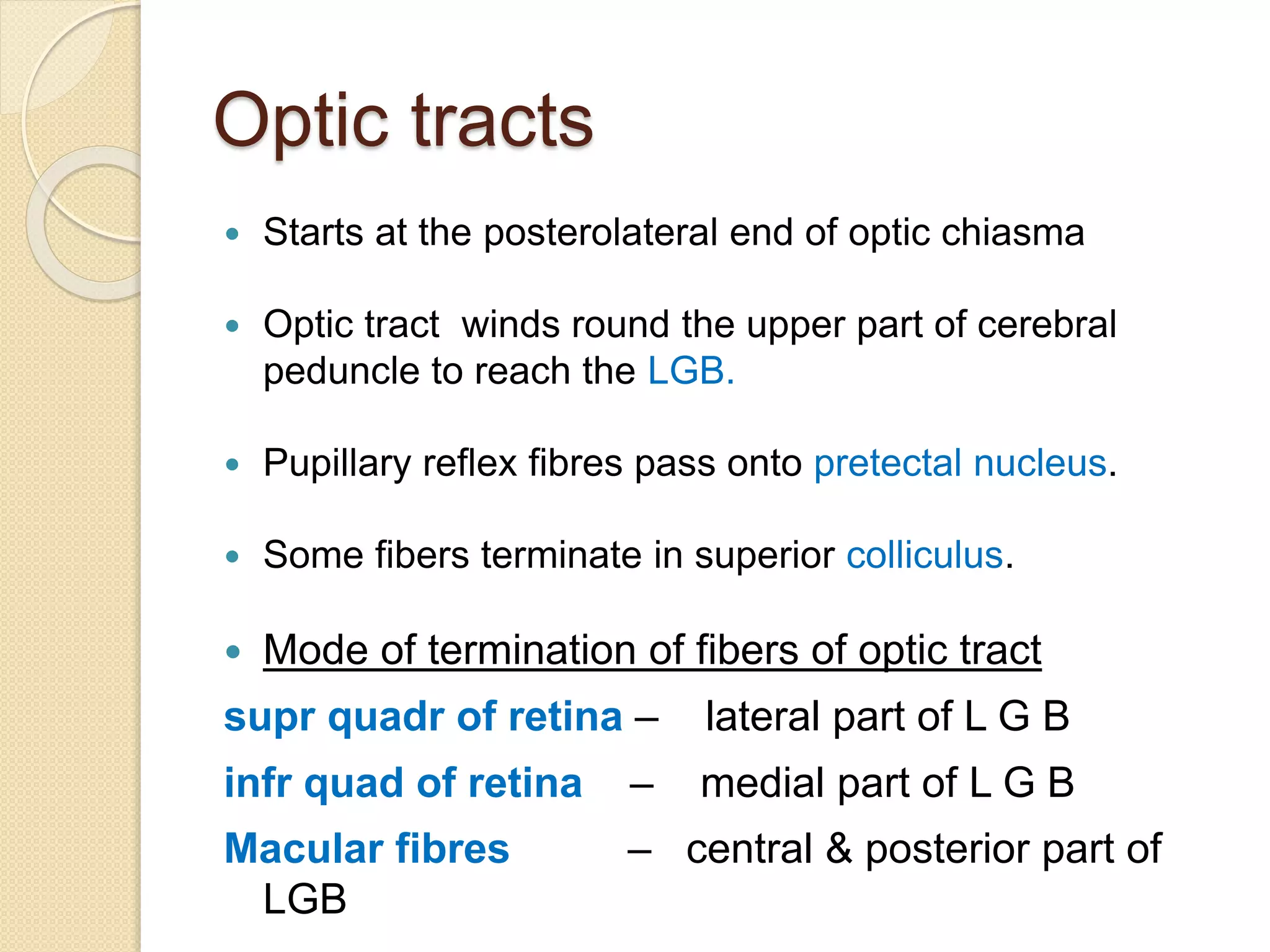 Optic tracts
 Starts at the posterolateral end of optic chiasma
 Optic tract winds round the upper part of cerebral
peduncle to reach the LGB.
 Pupillary reflex fibres pass onto pretectal nucleus.
 Some fibers terminate in superior colliculus.
 Mode of termination of fibers of optic tract
supr quadr of retina – lateral part of L G B
infr quad of retina – medial part of L G B
Macular fibres – central & posterior part of
LGB
 