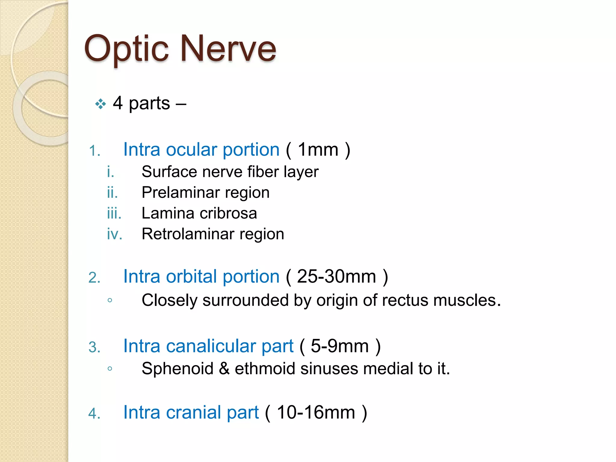 Optic Nerve
 4 parts –
1. Intra ocular portion ( 1mm )
i. Surface nerve fiber layer
ii. Prelaminar region
iii. Lamina cribrosa
iv. Retrolaminar region
2. Intra orbital portion ( 25-30mm )
◦ Closely surrounded by origin of rectus muscles.
3. Intra canalicular part ( 5-9mm )
◦ Sphenoid & ethmoid sinuses medial to it.
4. Intra cranial part ( 10-16mm )
 