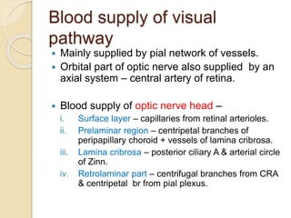Blood supply of visual
pathway
 Mainly supplied by pial network of vessels.
 Orbital part of optic nerve also supplied by an
axial system – central artery of retina.
 Blood supply of optic nerve head –
i. Surface layer – capillaries from retinal arterioles.
ii. Prelaminar region – centripetal branches of
peripapillary choroid + vessels of lamina cribrosa.
iii. Lamina cribrosa – posterior ciliary A & arterial circle
of Zinn.
iv. Retrolaminar part – centrifugal branches from CRA
& centripetal br from pial plexus.
 