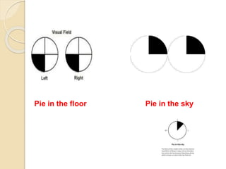 Pie in the floor Pie in the sky
 