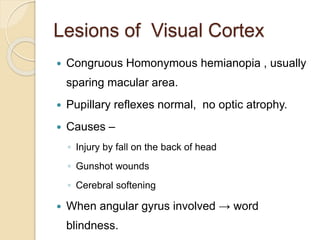 Lesions of Visual Cortex
 Congruous Homonymous hemianopia , usually
sparing macular area.
 Pupillary reflexes normal, no optic atrophy.
 Causes –
◦ Injury by fall on the back of head
◦ Gunshot wounds
◦ Cerebral softening
 When angular gyrus involved → word
blindness.
 