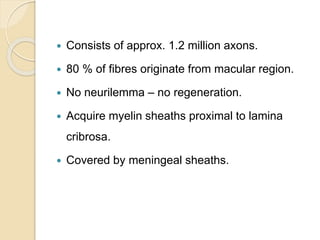  Consists of approx. 1.2 million axons.
 80 % of fibres originate from macular region.
 No neurilemma – no regeneration.
 Acquire myelin sheaths proximal to lamina
cribrosa.
 Covered by meningeal sheaths.
 