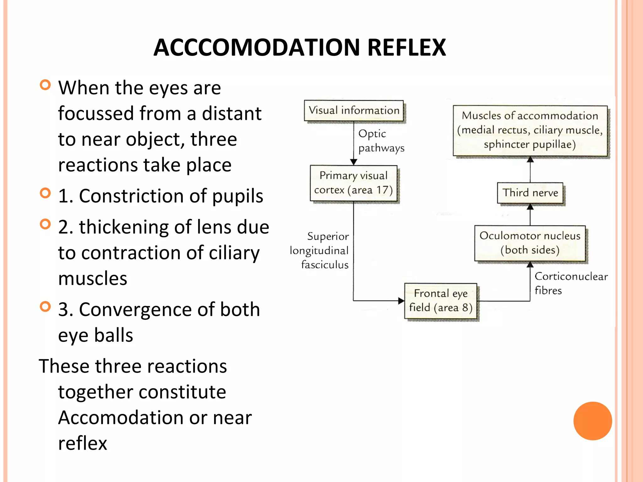 ACCCOMODATION REFLEX
 When the eyes are
focussed from a distant
to near object, three
reactions take place
 1. Constriction of pupils
 2. thickening of lens due
to contraction of ciliary
muscles
 3. Convergence of both
eye balls
These three reactions
together constitute
Accomodation or near
reflex
 