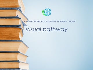 Visual pathway
FARVARDIN NEURO-COGNITIVE TRAINING GROUP
 