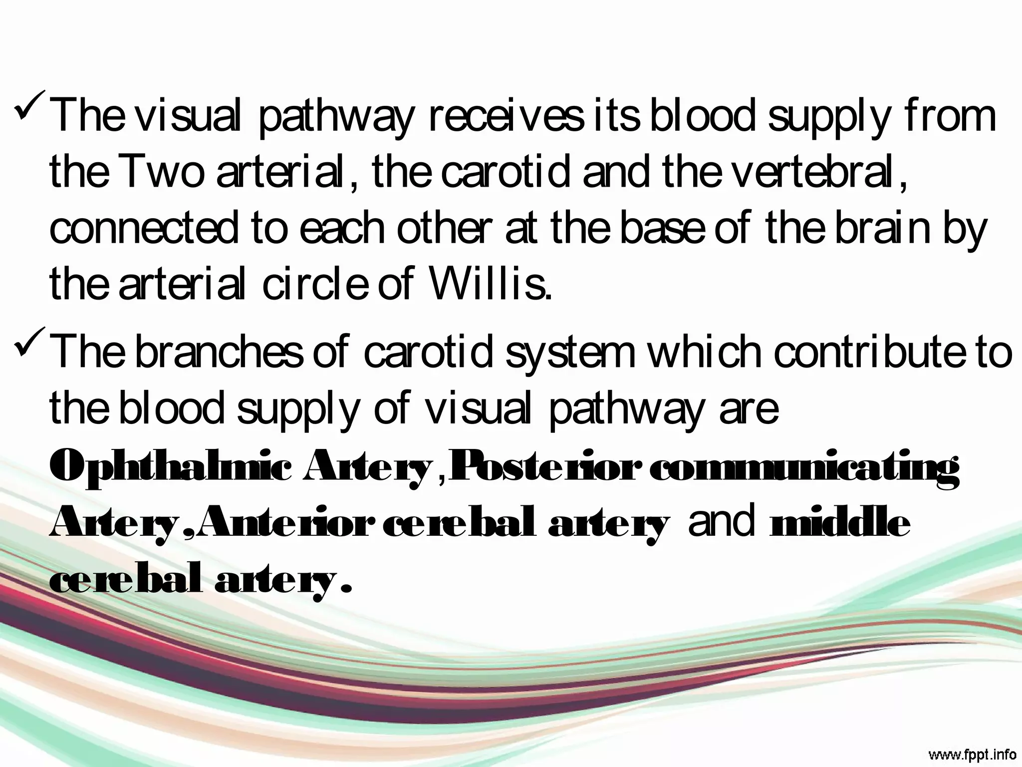 Thevisual pathway receivesitsblood supply from
theTwo arterial, thecarotid and thevertebral,
connected to each other at thebaseof thebrain by
thearterial circleof Willis.
Thebranchesof carotid system which contributeto
theblood supply of visual pathway are
Ophthalmic Artery,Posteriorcommunicating
Artery,Anteriorcerebal artery and middle
cerebal artery.
 