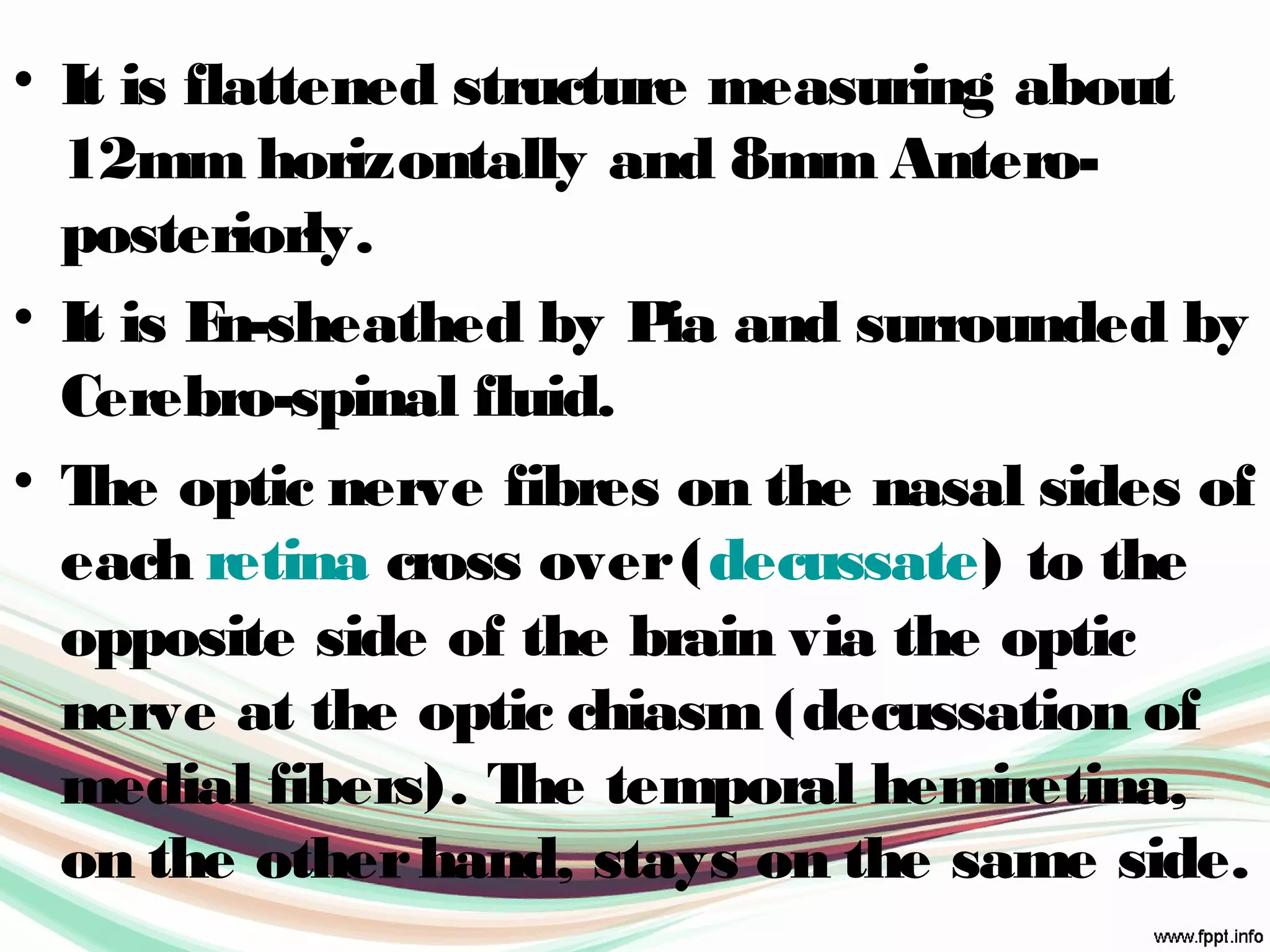 • It is flattened structure measuring about
12mm horizontally and 8mm Antero-
posteriorly.
• It is En-sheathed by Pia and surrounded by
Cerebro-spinal fluid.
• The optic nerve fibres on the nasal sides of
each retina cross over(decussate) to the
opposite side of the brain via the optic
nerve at the optic chiasm (decussation of
medial fibers). The temporal hemiretina,
on the otherhand, stays on the same side.
 