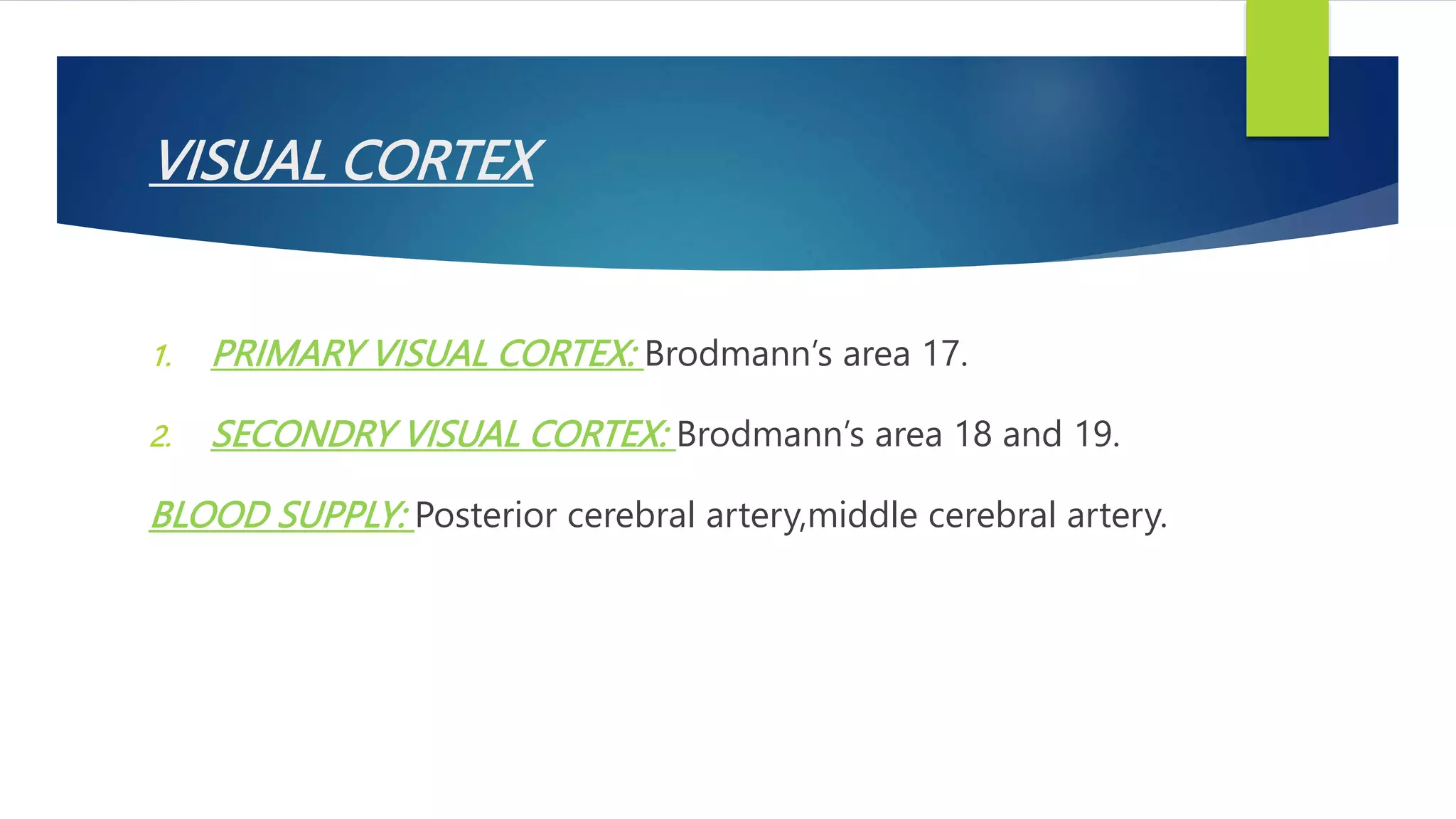 VISUAL CORTEX
1. PRIMARY VISUAL CORTEX: Brodmann’s area 17.
2. SECONDRY VISUAL CORTEX: Brodmann’s area 18 and 19.
BLOOD SUPPLY: Posterior cerebral artery,middle cerebral artery.
 