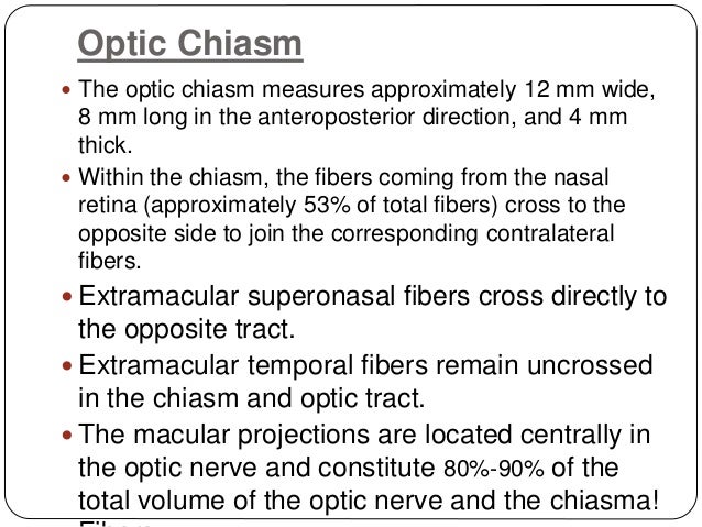 Visual pathway and its defects