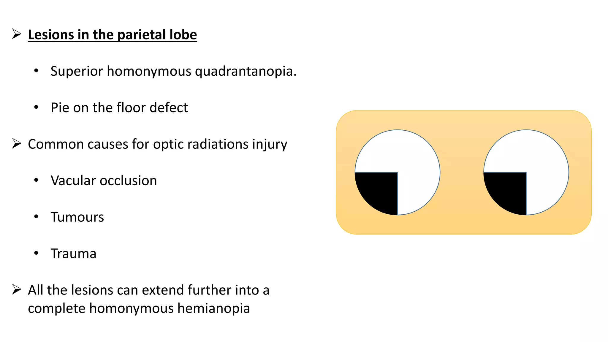  Lesions in the parietal lobe
• Superior homonymous quadrantanopia.
• Pie on the floor defect
 Common causes for optic radiations injury
• Vacular occlusion
• Tumours
• Trauma
 All the lesions can extend further into a
complete homonymous hemianopia
 