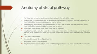 Visual Part Visual pathway and lesionsCEREBELLOPONTINE ANGLE AND THEIR CONTENTS.pptx