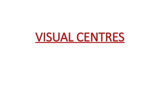 VISUAL CENTRES
 
