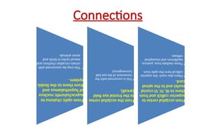 Connections
From
optic
chaisma
to
suprachaismtic
nucleus
of
hypothalamus
and
from
there
to
the
limbic
system
.
•
This
may
be
concerned
with
cirtain
circadian
rhythms
and
sexual
cycles
in
birds
and
some
animals
From
the
occipital
cortex
to
the
frontal
eye
field
(area8).
•
This
is
concerned
with
the
movement
of
the
eye
ball
(convergence)
From
occipital
cortex
to
superior
collicli
and
from
there
to
III,
IV,
VI
cranial
nuclei
and
to
the
spinal
cord.
•
Fibers
also
reach
the
superior
colliculi
form
the
optic
tract.
•
These
mediate
tone,
posture,
equlibrium
and
visuospinal
reflexes.
 
