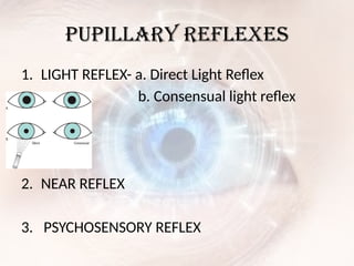 Light Reflex Example visual pathway diseases and clinical significance pptx | PPTX