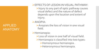 ANATOMY AND PHYSIOLOGY OF VISUAL PATHWAY | PPTX