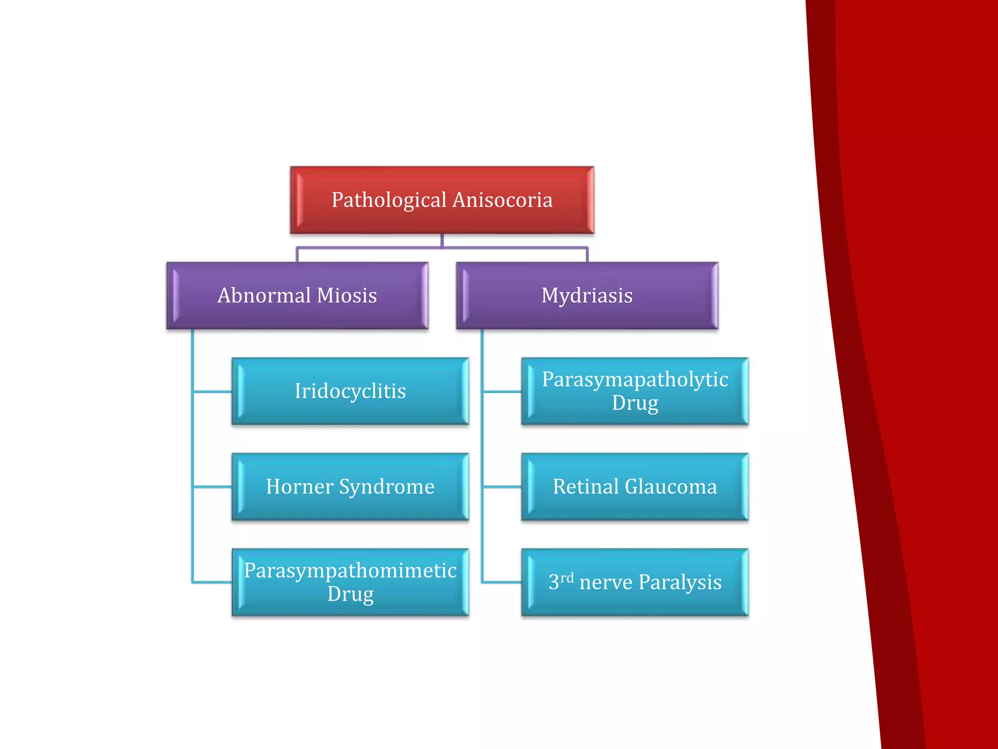 Pathological Anisocoria
Abnormal Miosis
Iridocyclitis
Horner Syndrome
Parasympathomimetic
Drug
Mydriasis
Parasymapatholytic
Drug
Retinal Glaucoma
3rd nerve Paralysis
 
