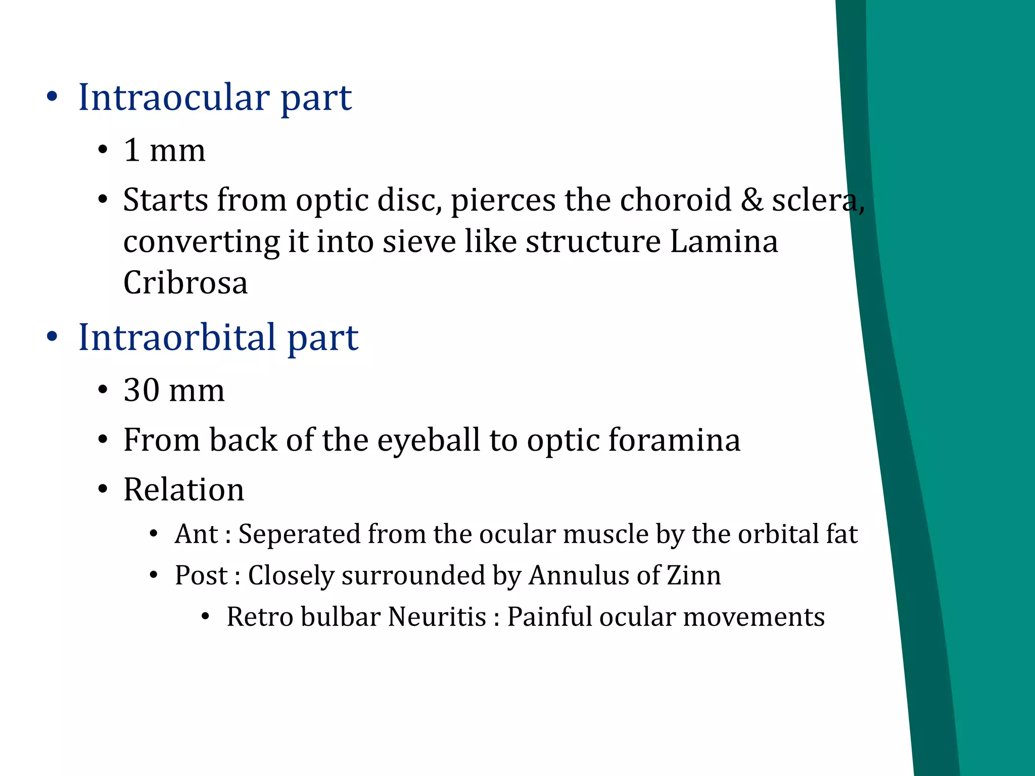 • Intraocular part
• 1 mm
• Starts from optic disc, pierces the choroid & sclera,
converting it into sieve like structure Lamina
Cribrosa
• Intraorbital part
• 30 mm
• From back of the eyeball to optic foramina
• Relation
• Ant : Seperated from the ocular muscle by the orbital fat
• Post : Closely surrounded by Annulus of Zinn
• Retro bulbar Neuritis : Painful ocular movements
 