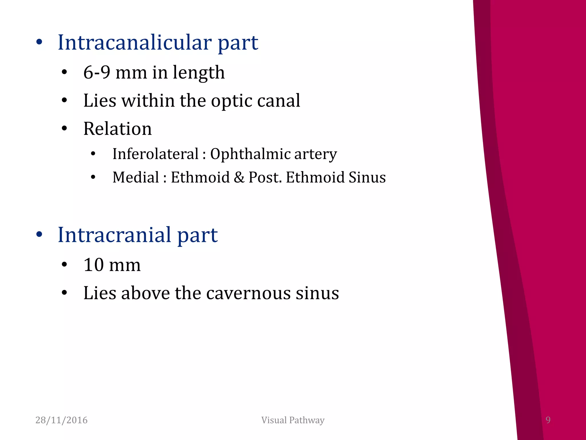 • Intracanalicular part
• 6-9 mm in length
• Lies within the optic canal
• Relation
• Inferolateral : Ophthalmic artery
• Medial : Ethmoid & Post. Ethmoid Sinus
• Intracranial part
• 10 mm
• Lies above the cavernous sinus
28/11/2016 9Visual Pathway
 