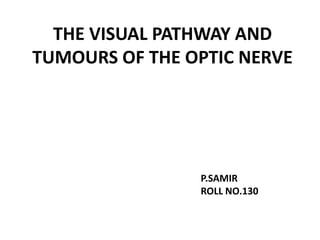 THE VISUAL PATHWAY AND
TUMOURS OF THE OPTIC NERVE
P.SAMIR
ROLL NO.130
 
