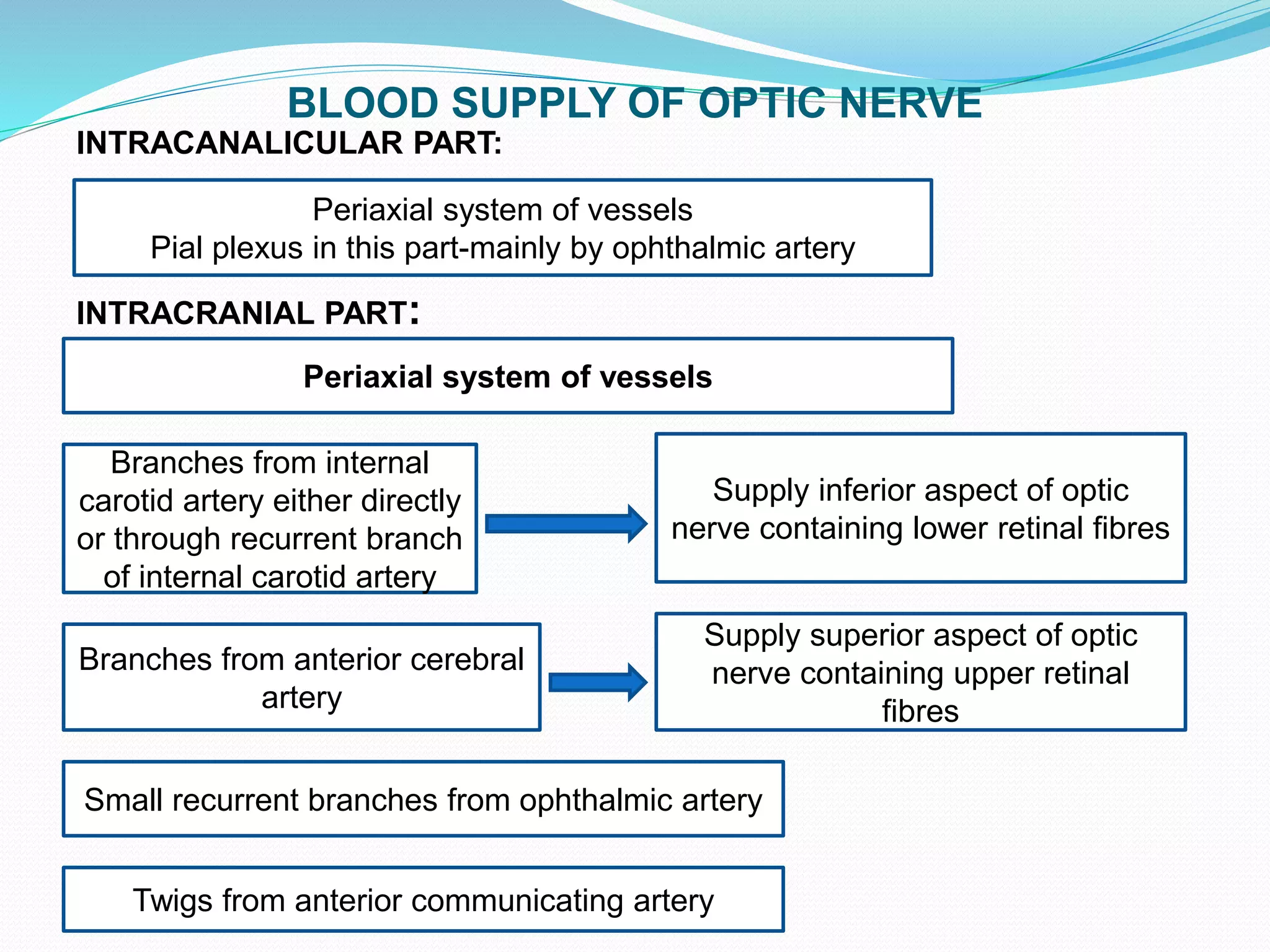 BLOOD SUPPLY OF OPTIC NERVE
INTRACANALICULAR PART:
INTRACRANIAL PART:
Periaxial system of vessels
Pial plexus in this part-mainly by ophthalmic artery
Periaxial system of vessels
Branches from internal
carotid artery either directly
or through recurrent branch
of internal carotid artery
Branches from anterior cerebral
artery
Small recurrent branches from ophthalmic artery
Supply inferior aspect of optic
nerve containing lower retinal fibres
Supply superior aspect of optic
nerve containing upper retinal
fibres
Twigs from anterior communicating artery
 