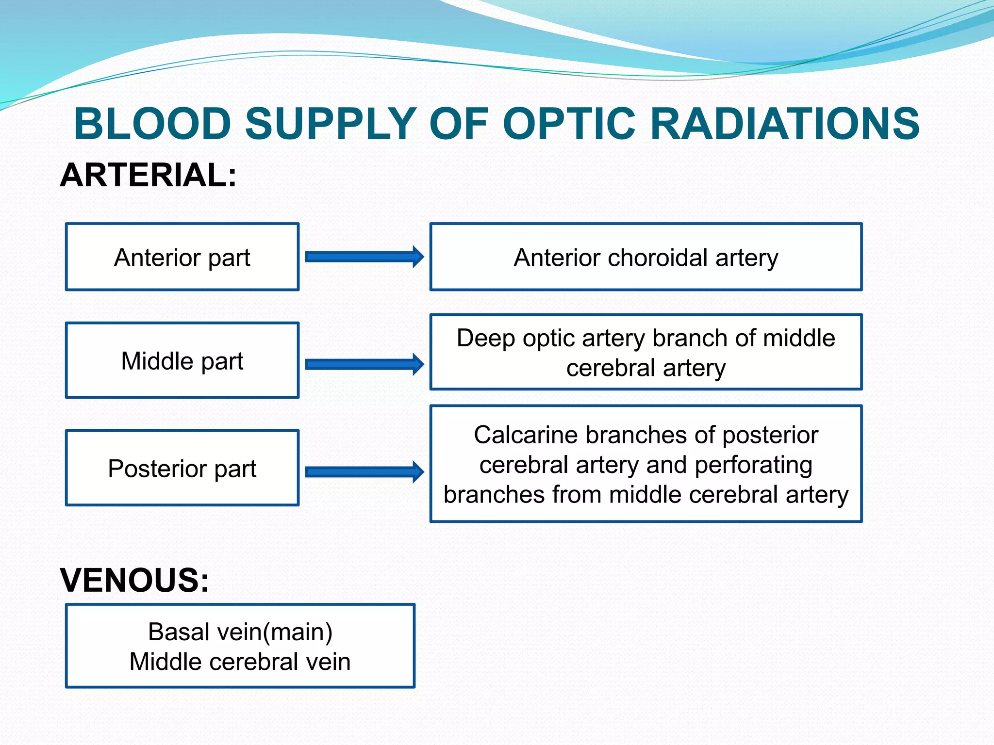 BLOOD SUPPLY OF OPTIC RADIATIONS
ARTERIAL:
VENOUS:
Anterior part
Middle part
Posterior part
Anterior choroidal artery
Deep optic artery branch of middle
cerebral artery
Calcarine branches of posterior
cerebral artery and perforating
branches from middle cerebral artery
Basal vein(main)
Middle cerebral vein
 
