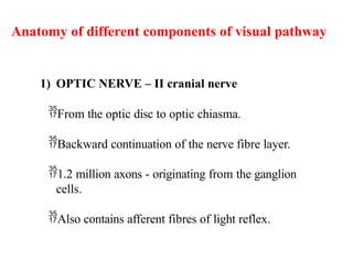 visual pathway ppt of light uploaded.pptx