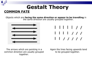 Visual Image One Shared Direction Visual perception 1 | PPT