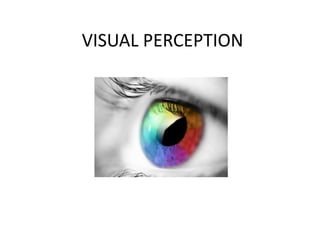 Visual perception Slide 1