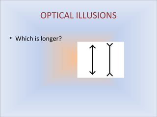 OPTICAL ILLUSIONS

• Which is longer?
 