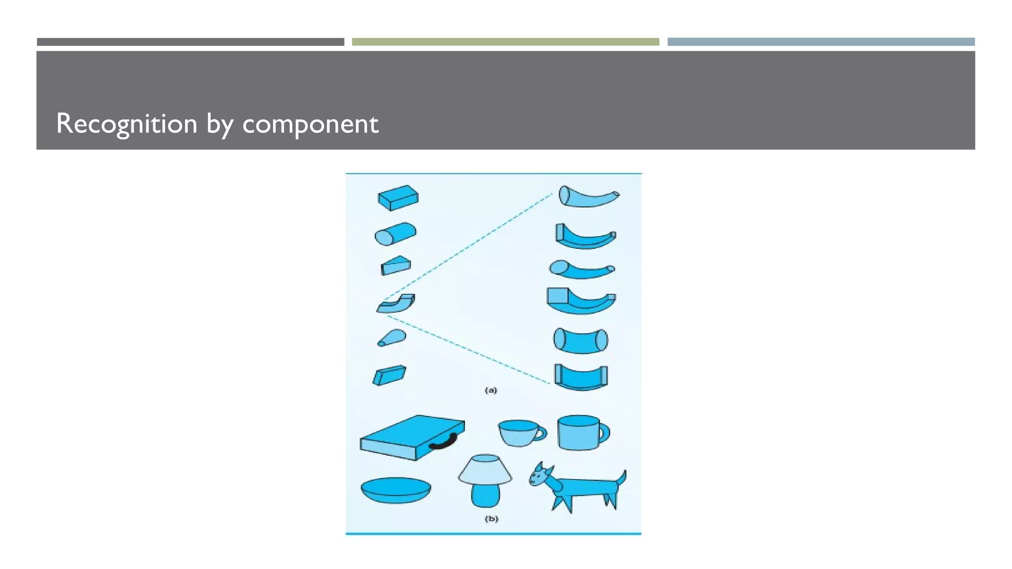 Recognition by component
 