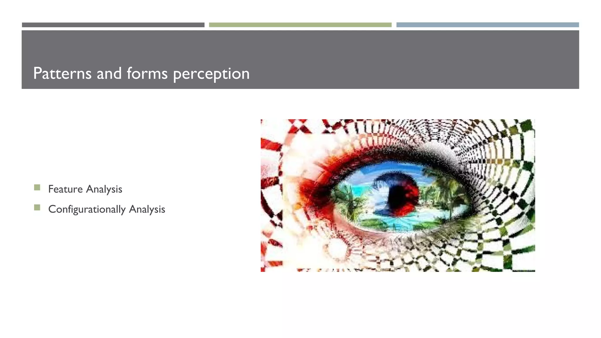Patterns and forms perception
 Feature Analysis
 Configurationally Analysis
 