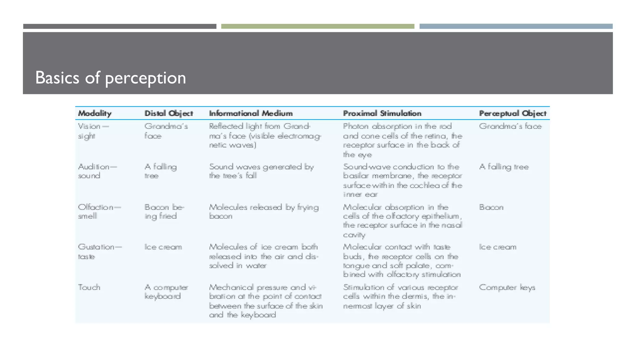 Basics of perception
 