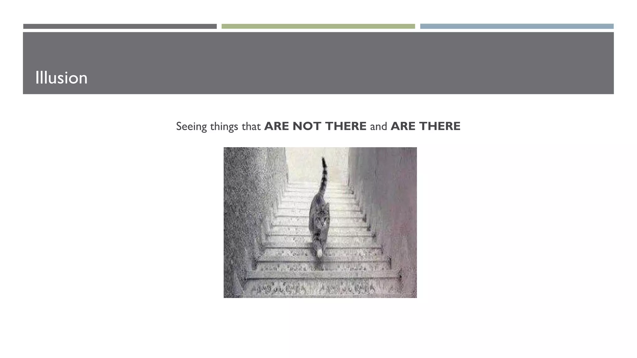 Illusion
Seeing things that ARE NOT THERE and ARE THERE
 