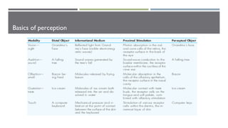 Visual perception | PPT
