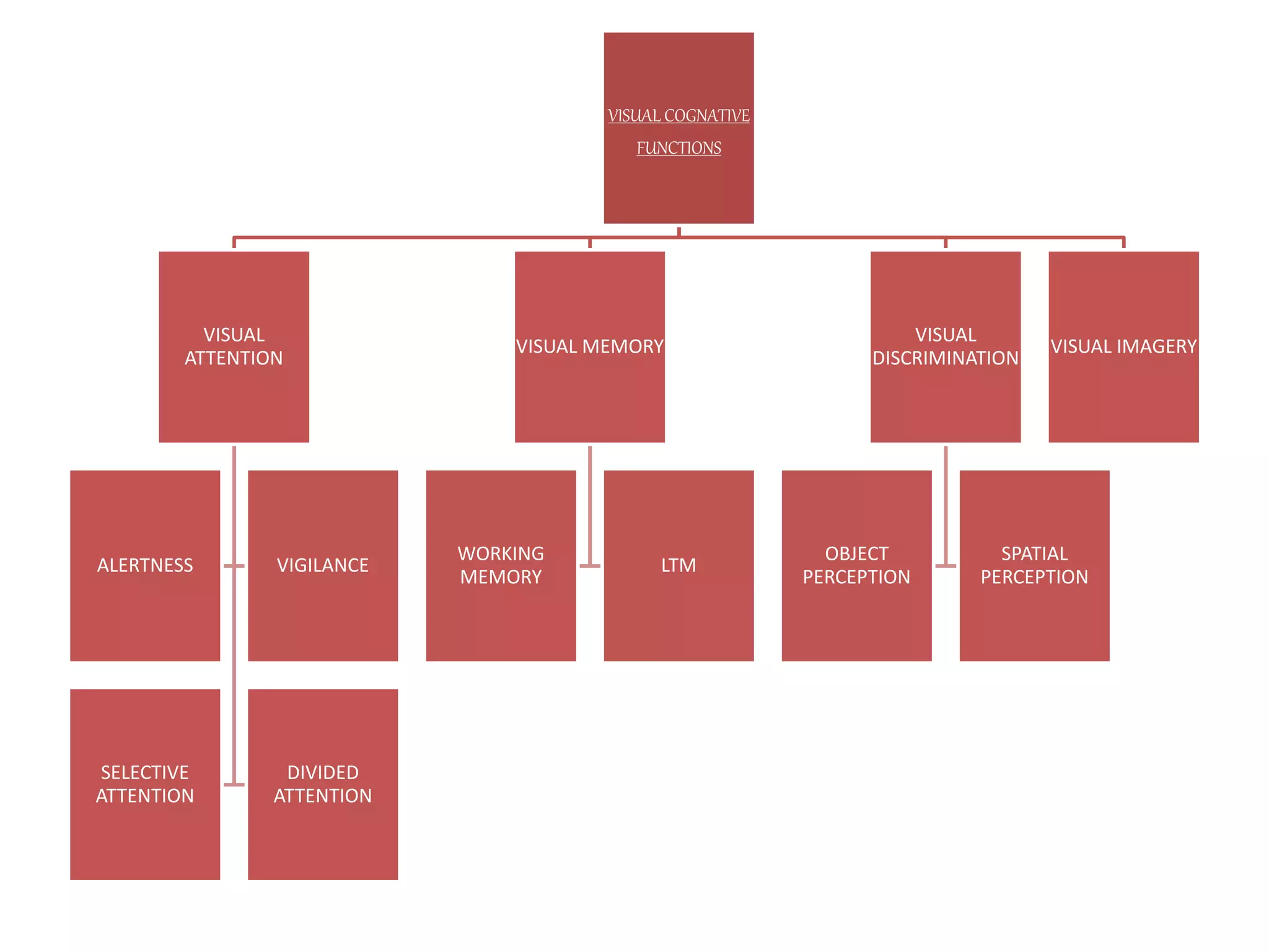 VISUAL COGNATIVE
FUNCTIONS
VISUAL
ATTENTION
ALERTNESS VIGILANCE
SELECTIVE
ATTENTION
DIVIDED
ATTENTION
VISUAL MEMORY
WORKING
MEMORY
LTM
VISUAL
DISCRIMINATION
OBJECT
PERCEPTION
SPATIAL
PERCEPTION
VISUAL IMAGERY
 