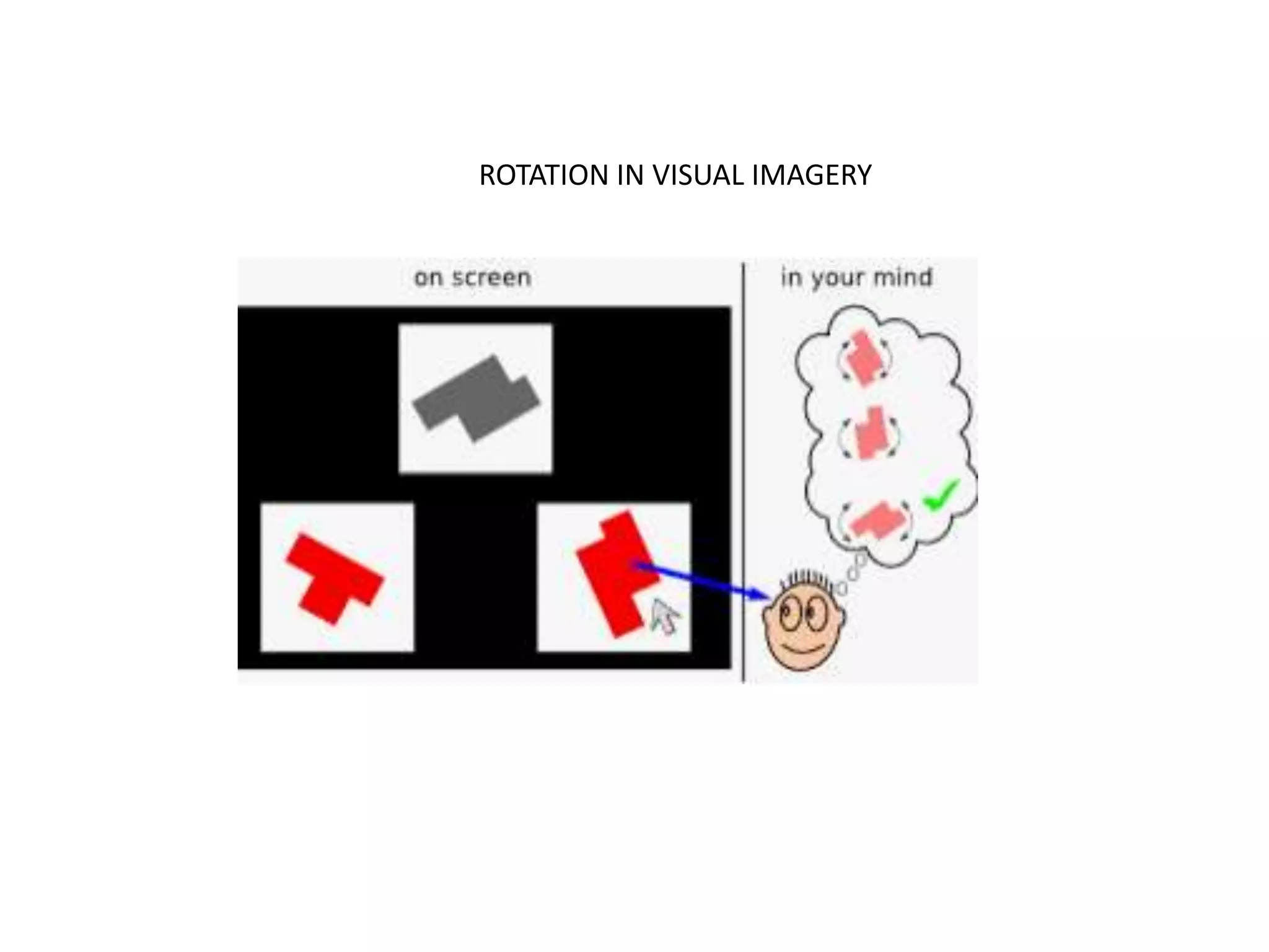 ROTATION IN VISUAL IMAGERY
 
