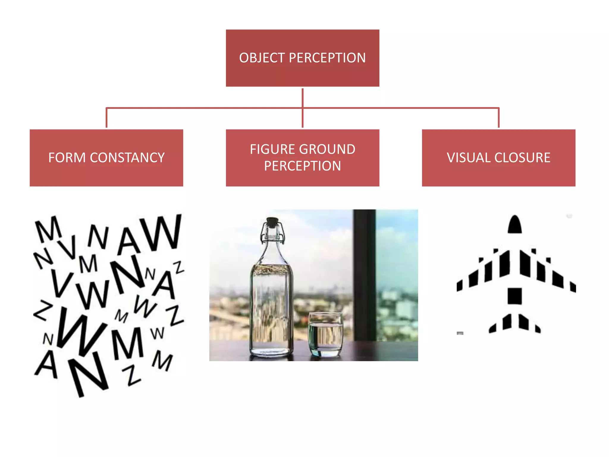 OBJECT PERCEPTION
FORM CONSTANCY
FIGURE GROUND
PERCEPTION
VISUAL CLOSURE
 