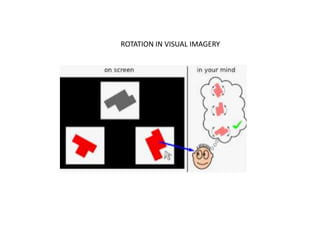 Visual perception from the point of view of Sensory Integration | PPTX