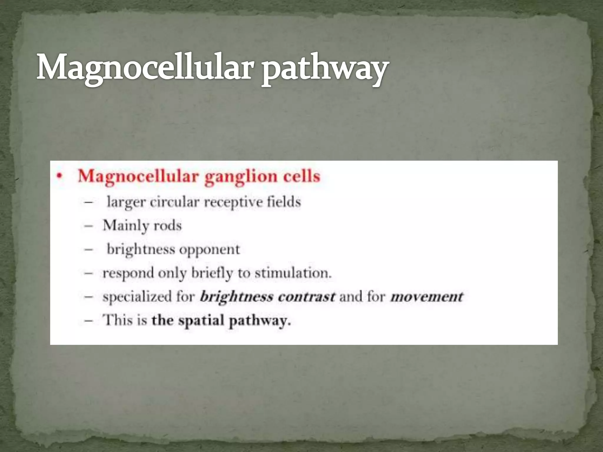 VISUAL PERCEPTION.pptx