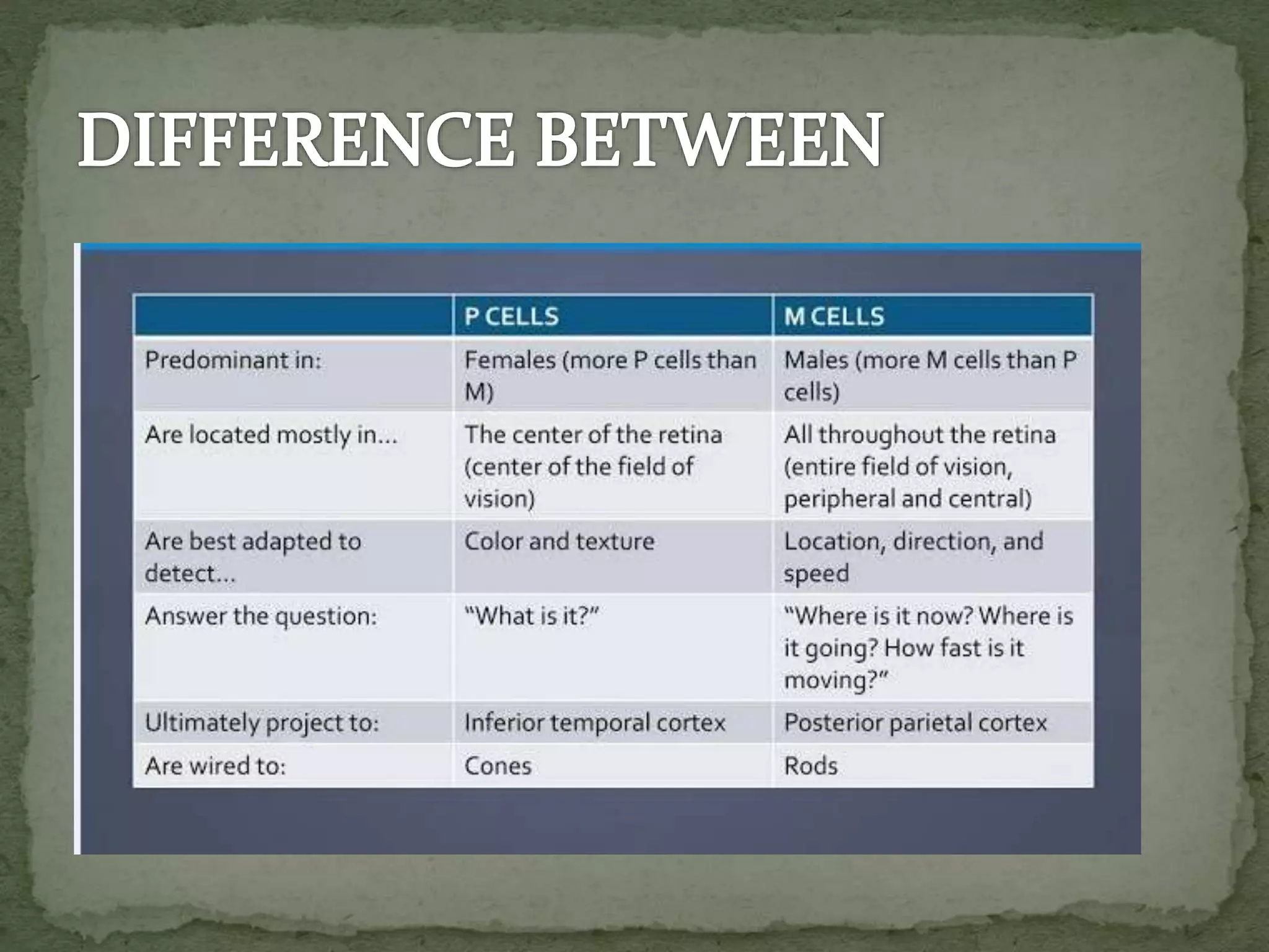 VISUAL PERCEPTION.pptx