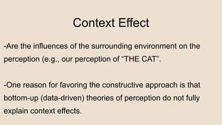 POWERPOINT PRESENTATION ON COGNITIVE PSYCHOLOGY ABOUT VISUAL PERCEPTION ...