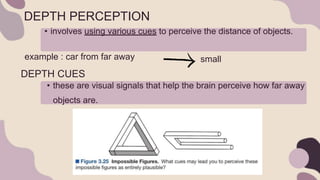 POWERPOINT PRESENTATION ON COGNITIVE PSYCHOLOGY ABOUT VISUAL PERCEPTION ...