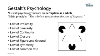 Visual Perception and Gestalt Principles | PPTX