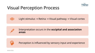 Visual Perception and Gestalt Principles | PPTX