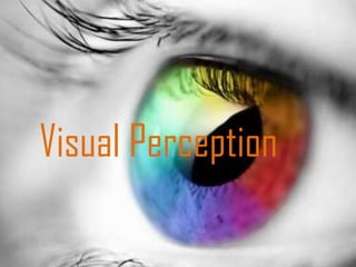 Visual Perception
 