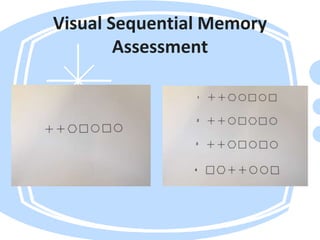 visual perception basic intro (2).pptx
