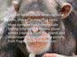 Simple Findings Visual visual perception basic intro (2).pptx